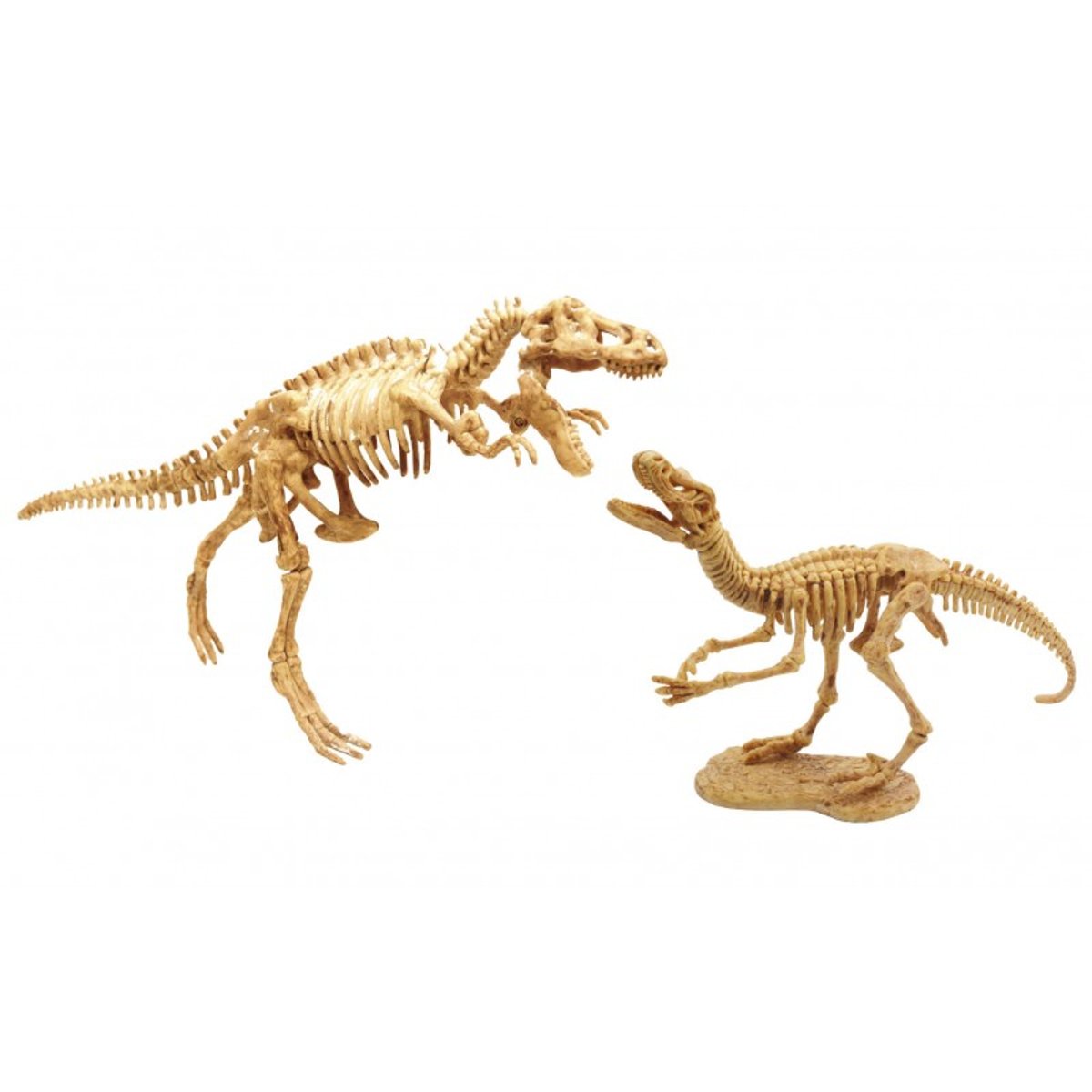 Dino Dig T-Rex et Raptor bleu, BUKI FRANCE