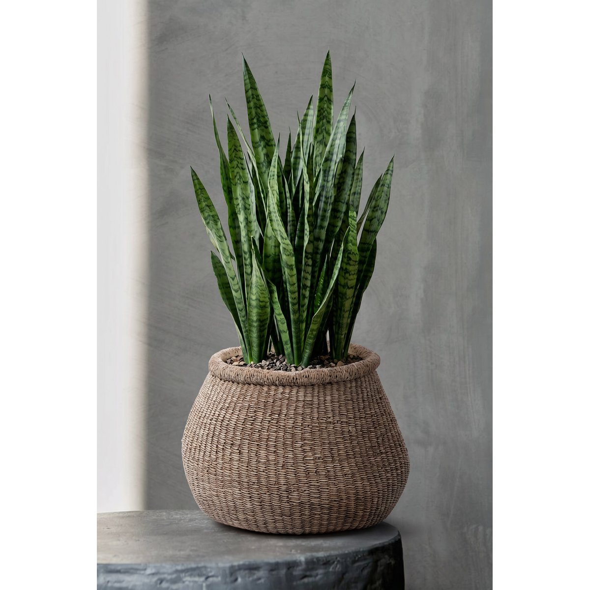 Cache-pot en béton FAUX-PUFF brun, BAZAR BIZAR