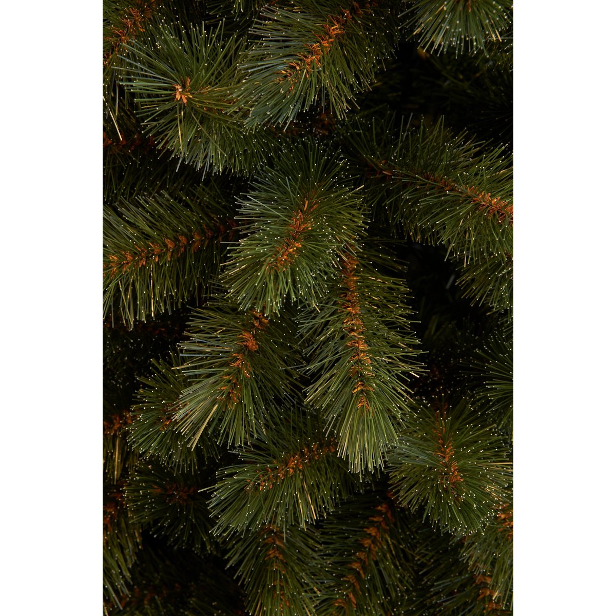 Sapin de Noël artificiel étroit H215 cm BRISTLECONE vert, TRIUMPH TREE