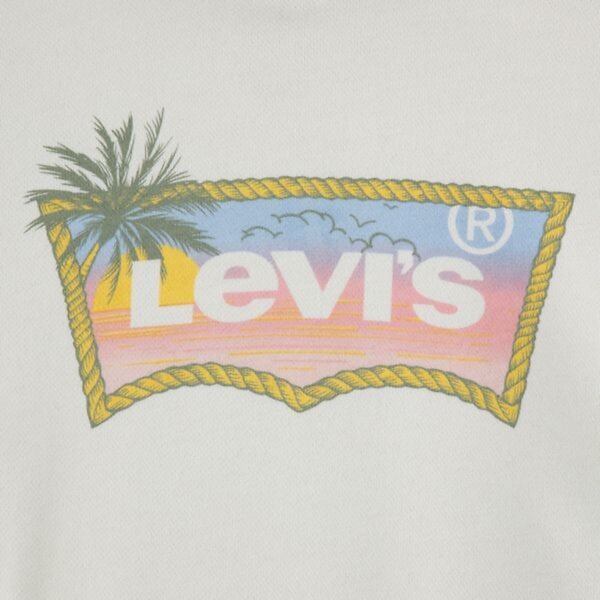 Sweat à capuche en molleton, logo devant ecru, LEVI'S KIDS