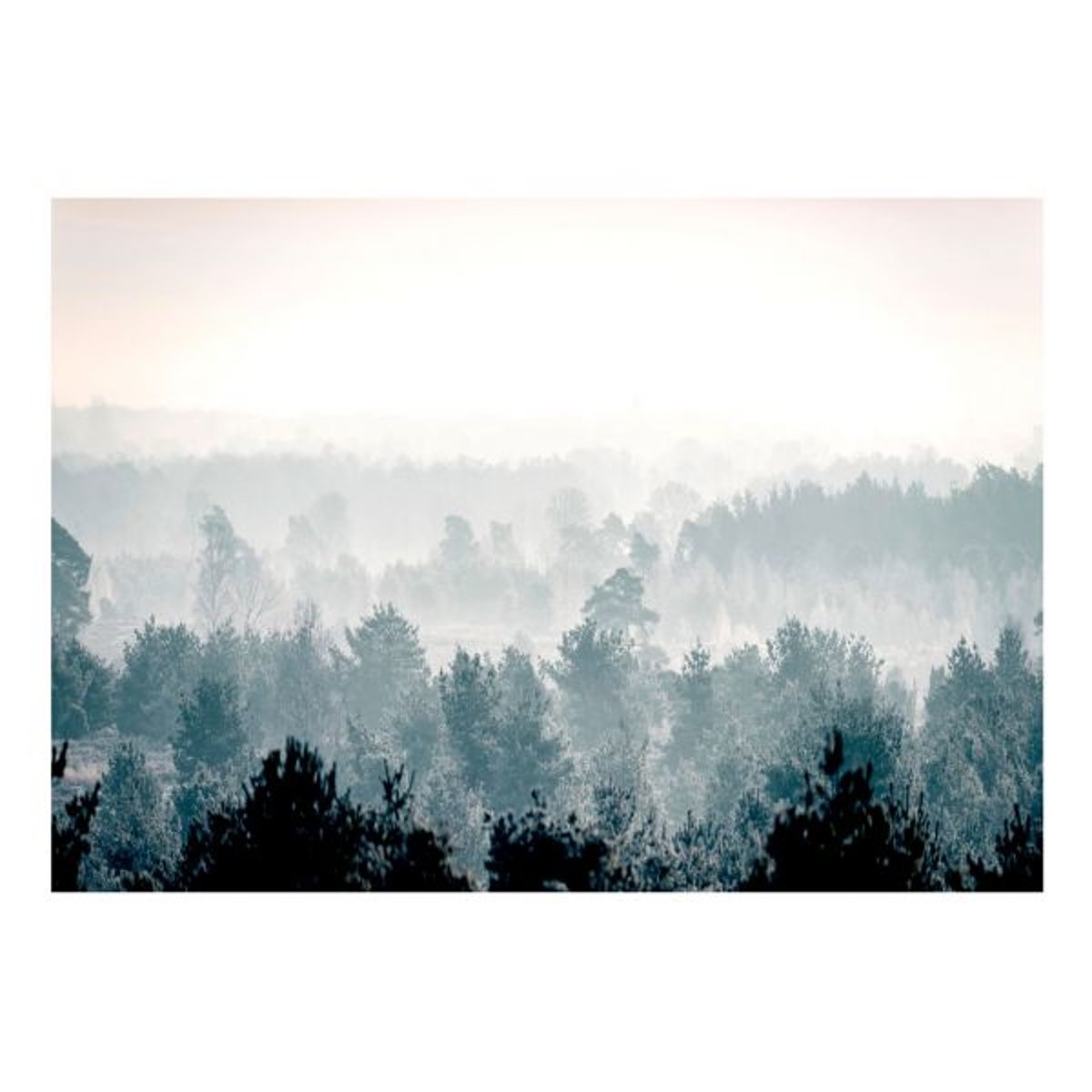 Papier peint intissé panoramique Paysage Winter Forest 1 gris / argent, EDEN