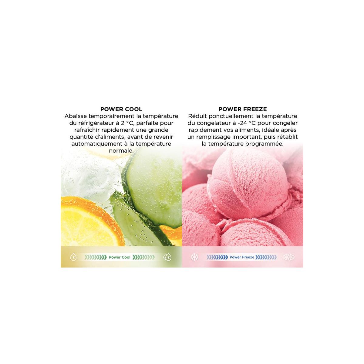 Réfrigérateur combiné RP456BIDO couleur unique, TCL
