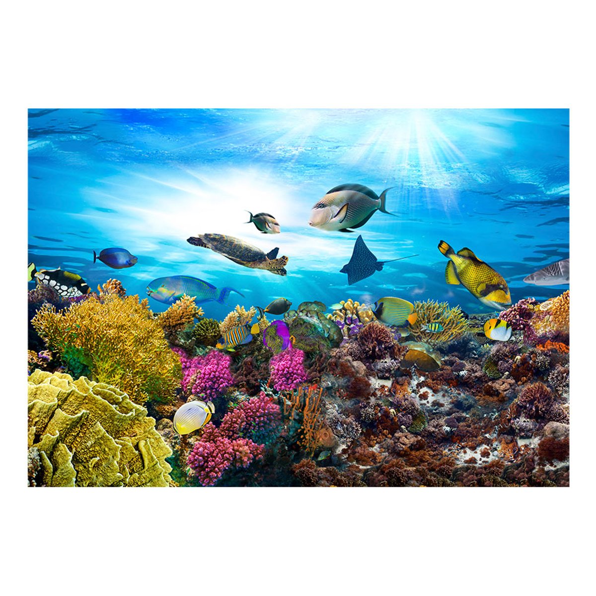 Papier peint intissé panoramique Paysage Coral reef multicouleur, EDEN