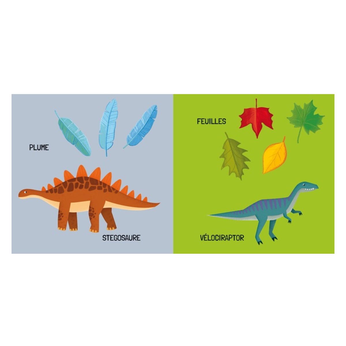 Livre et puzzle Les dinosaures vert, SASSI JUNIOR