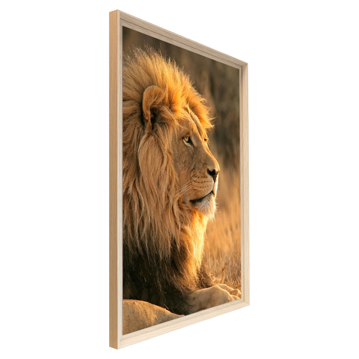 Tableau Mural Encadré Lion Profil Doré ANIMAUX tableaux encadrés, CEANOTHE