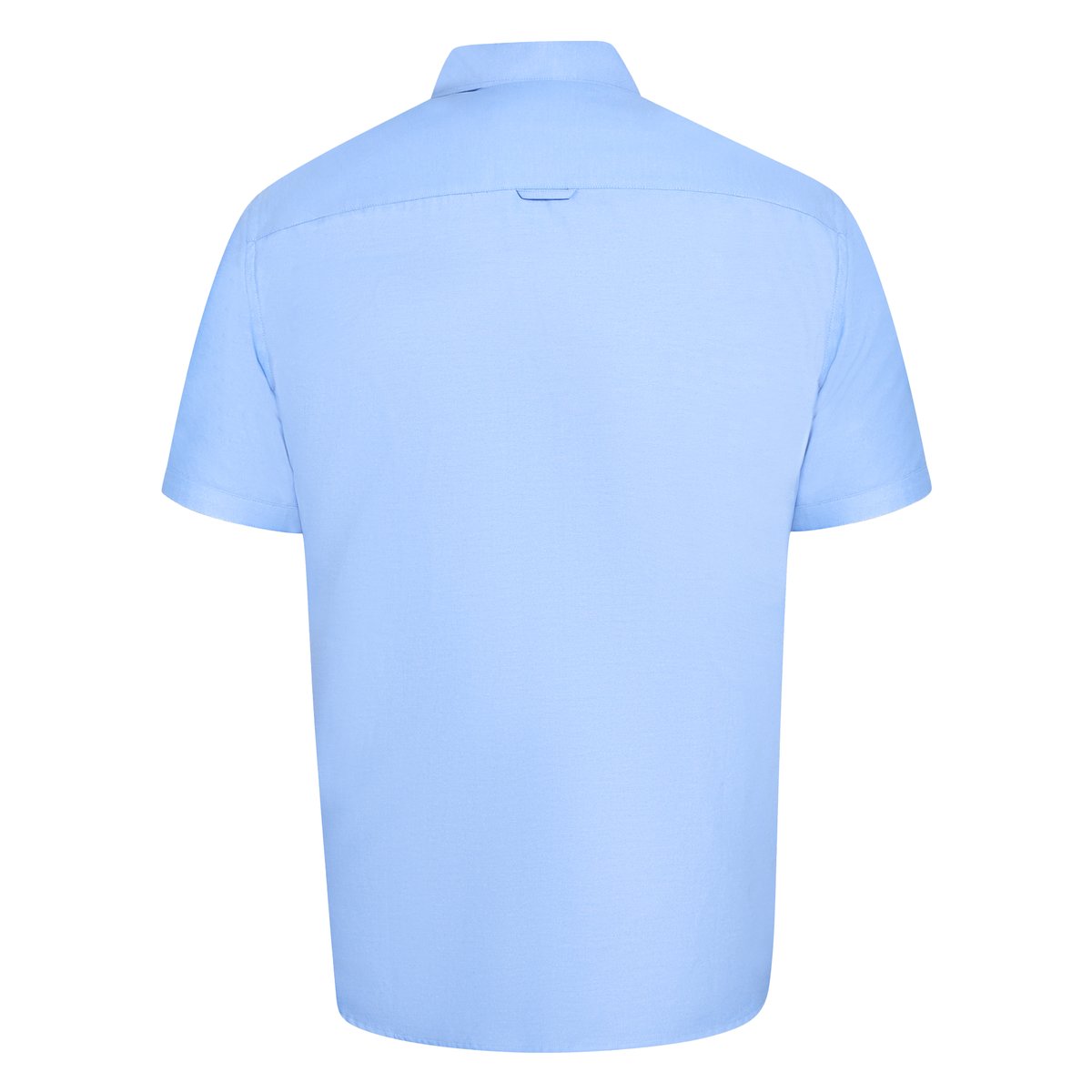 Chemise manches courtes grande taille JAMES bleu ciel, DUKE