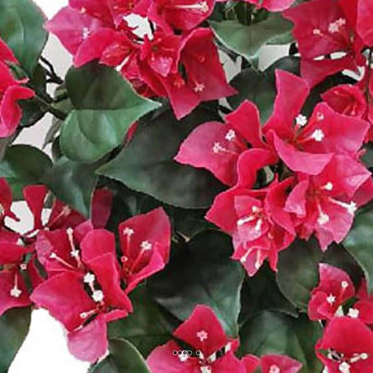 Bougainvillier artificiel retombant en piquet fushia, ARTIFICIELLES