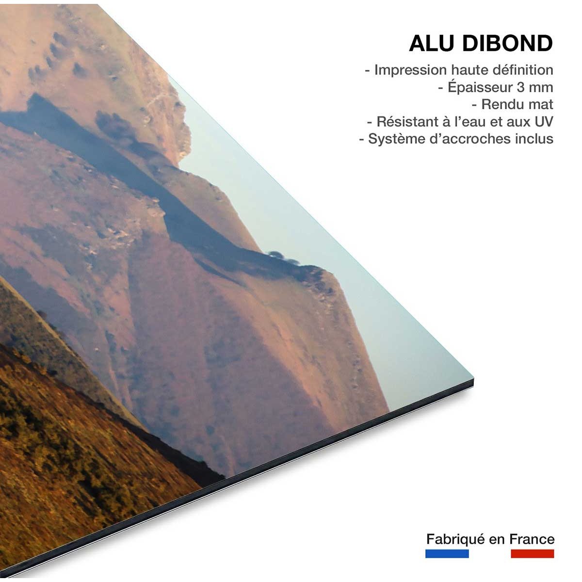Tableau chevaux pottok tableau alu dibond, HEXOA