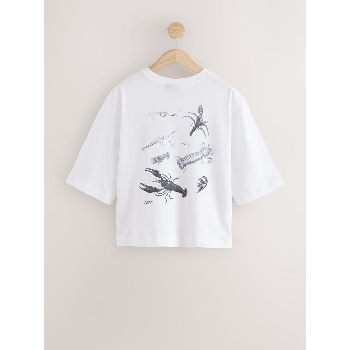 T-shirt à manches mi-longues licence officielle blanche ashmoleon, NEXT