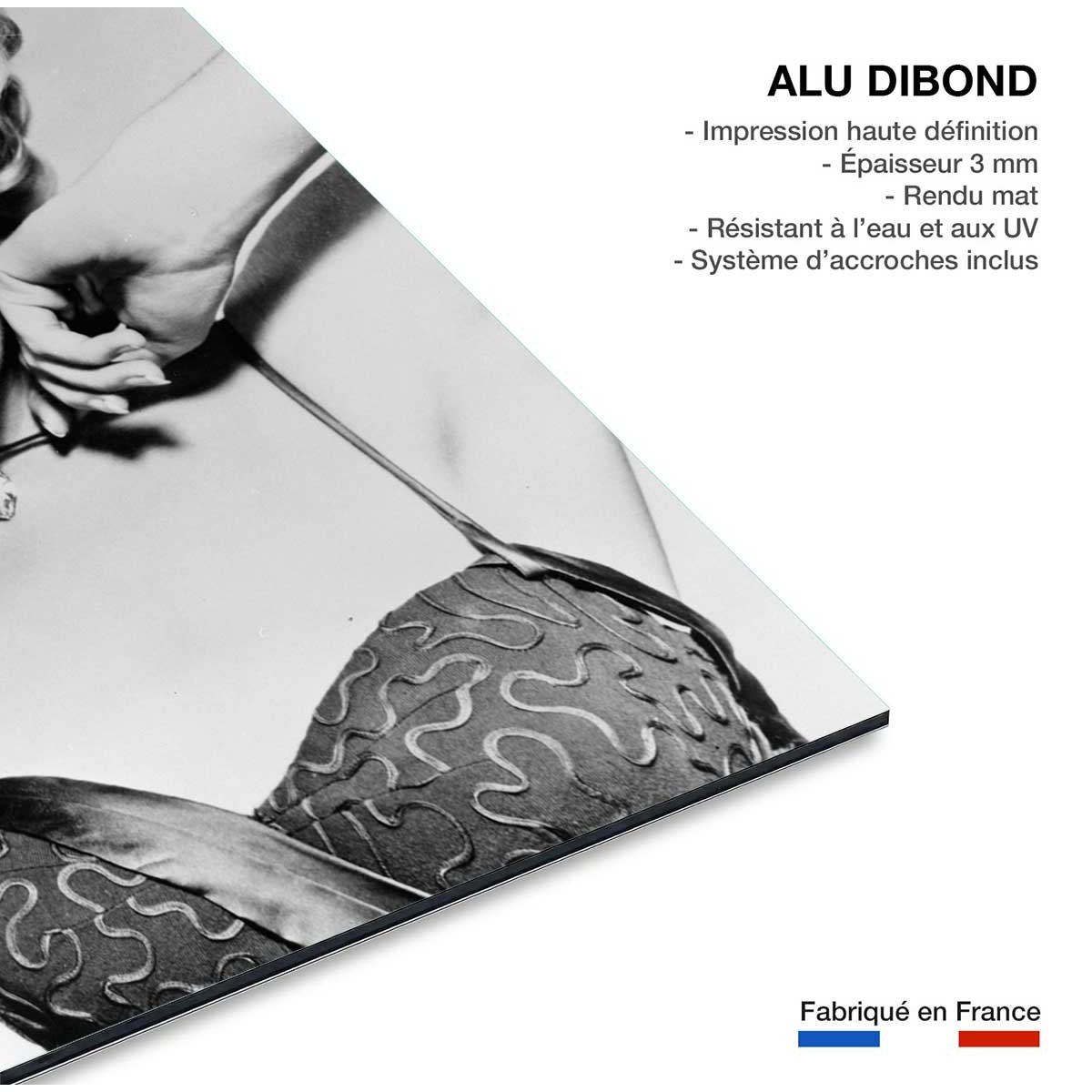 Tableau célébrité de Marilyn Monroe tableau alu dibond, HEXOA