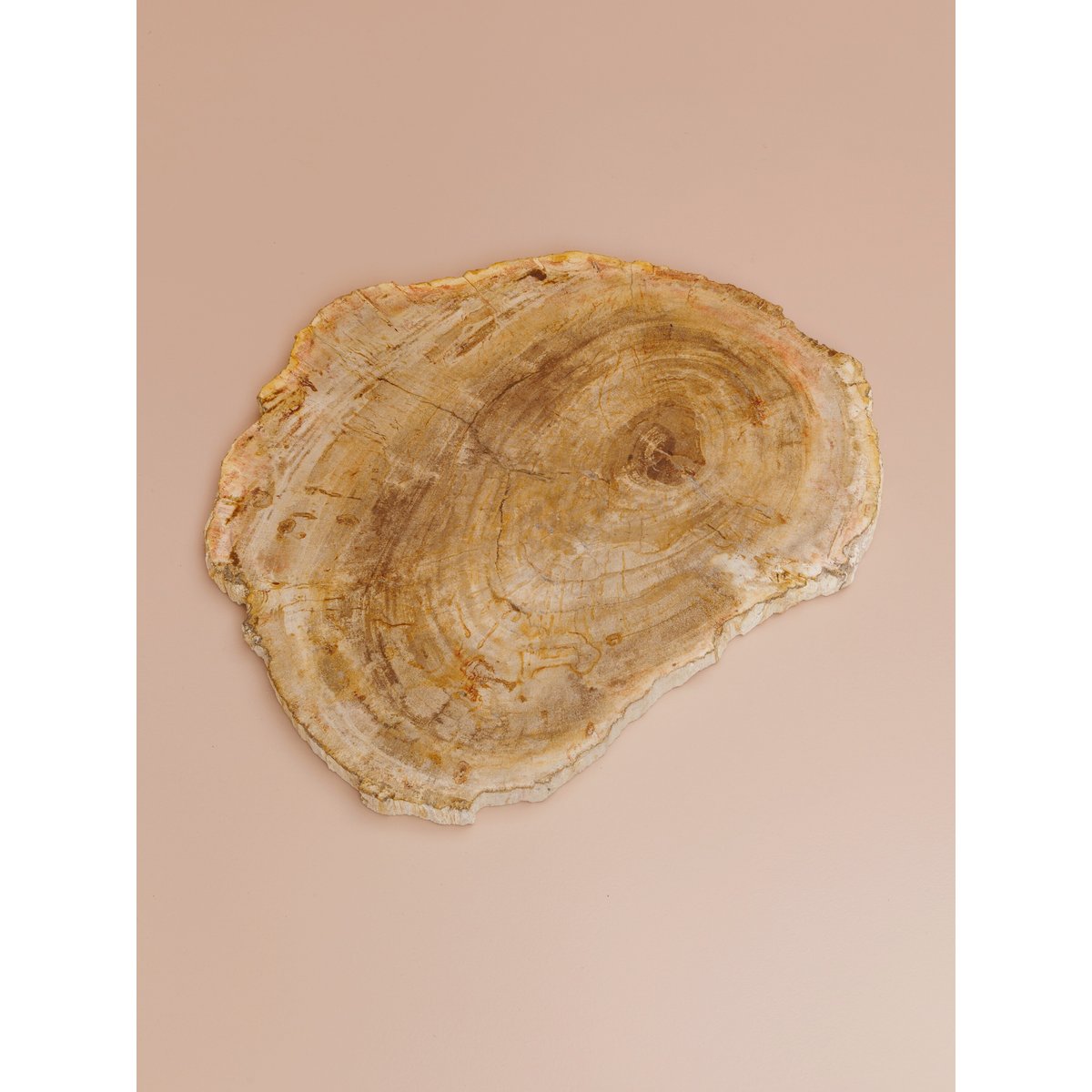 Plateau à découper en bois PÉTRIFIÉ bois clair, CHEHOMA