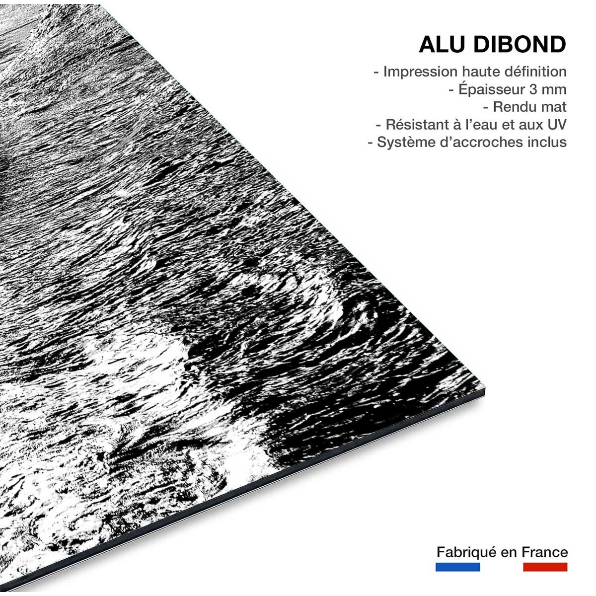 Tableau surf au clair de lune tableau alu dibond, HEXOA