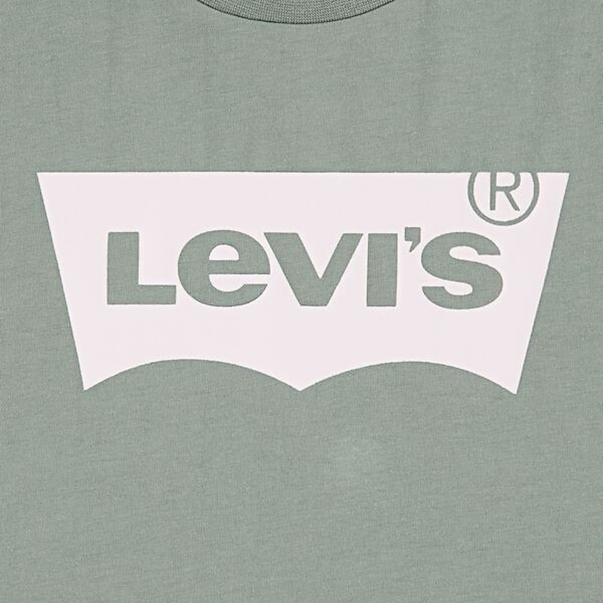 Batwing T-Shirt with Short Sleeves khaki green, LEVI'S KIDS