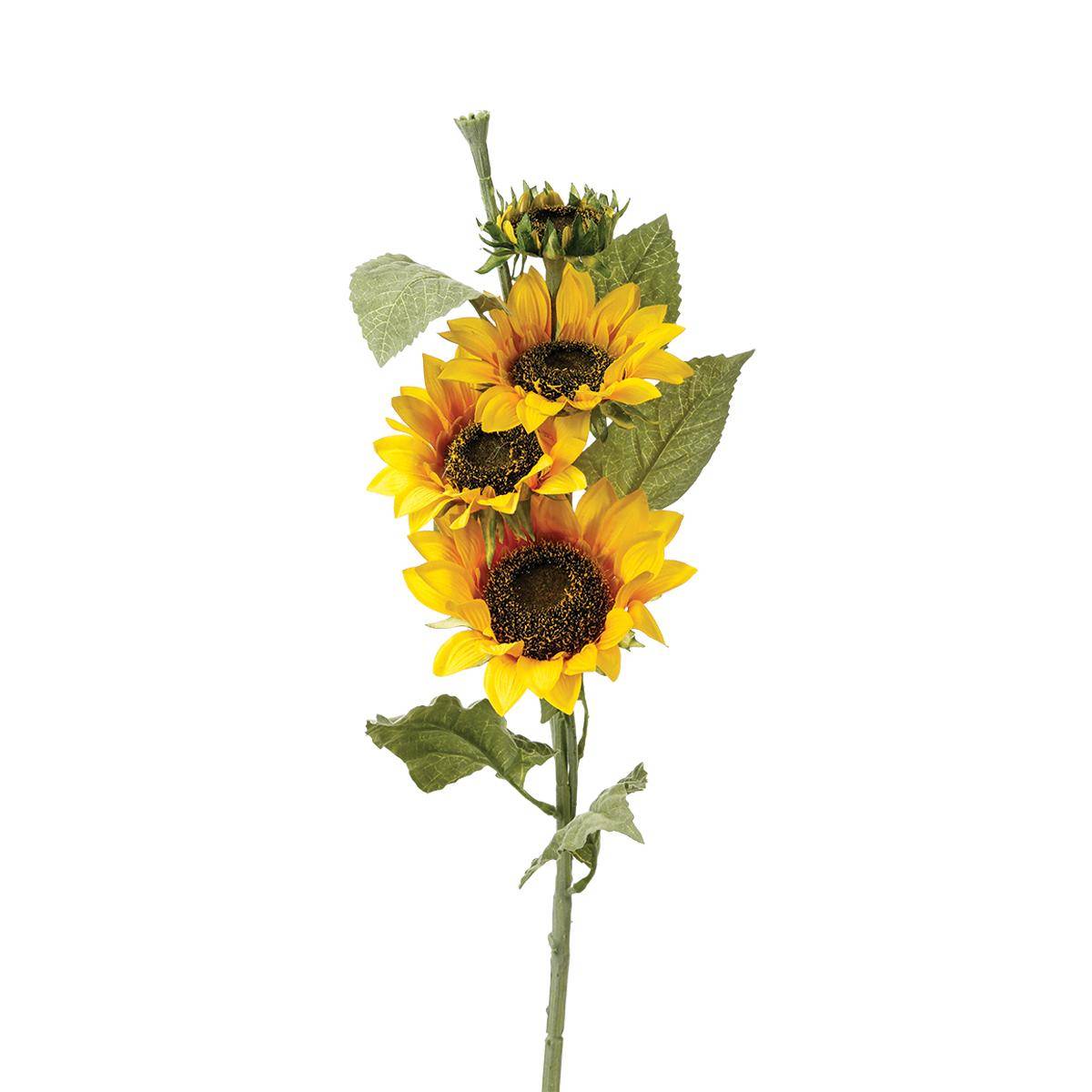 Tournesol artificiel jaune, ATMOSPHERA
