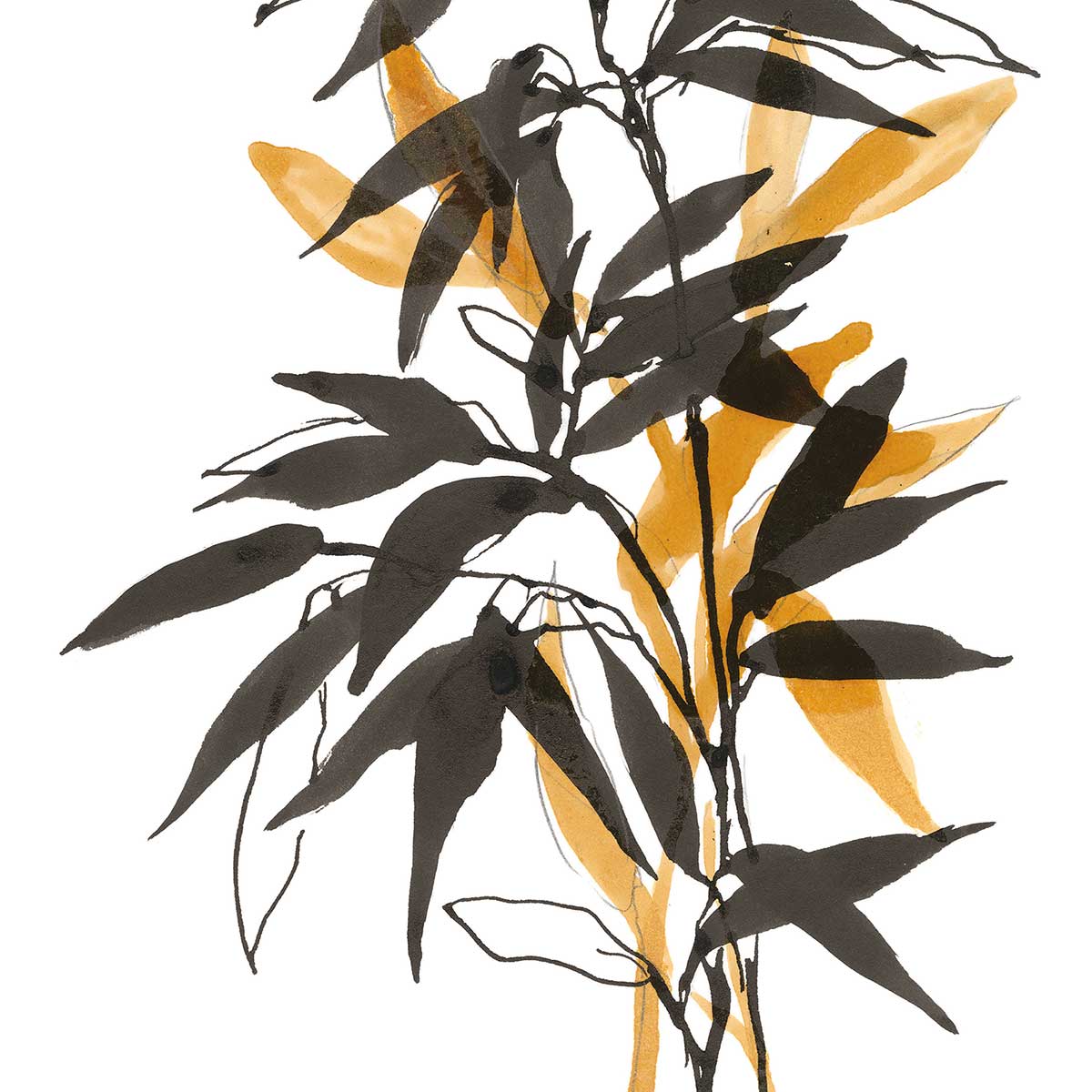 Poster orange bambou affiche + cadre en bois - noir, HEXOA