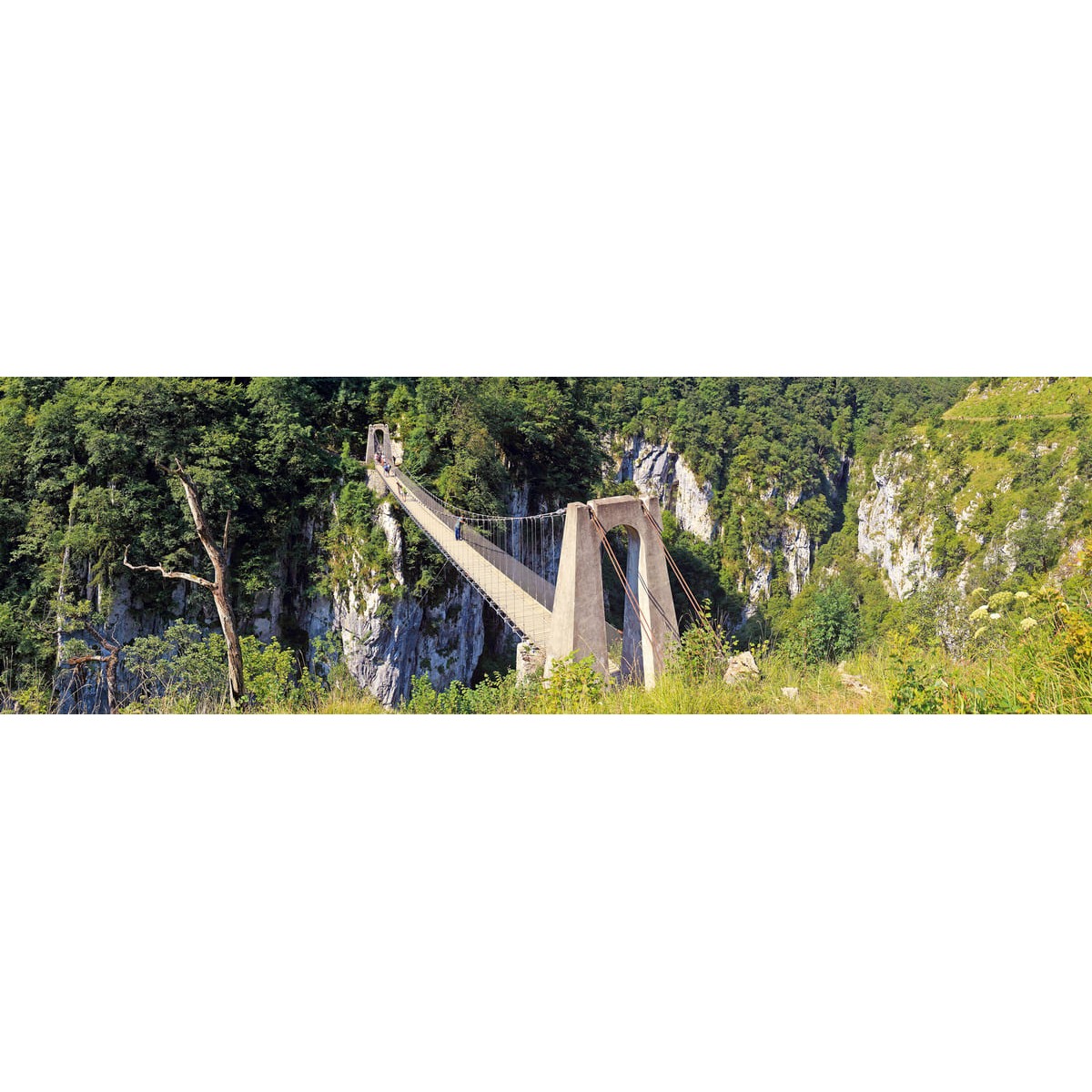 Tableau Mural Passerelle D'holzarte NATURE ÉVASION tableaux sur toile-vert, CEANOTHE