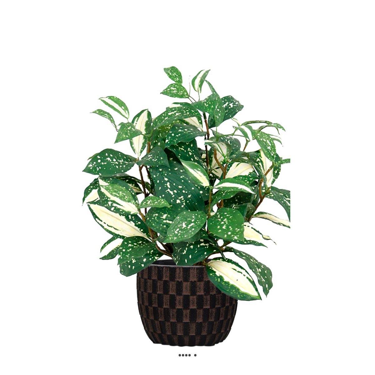 Pothos artificiel au feuillage tacheté H 35 v002239, ARTIFICIELLES