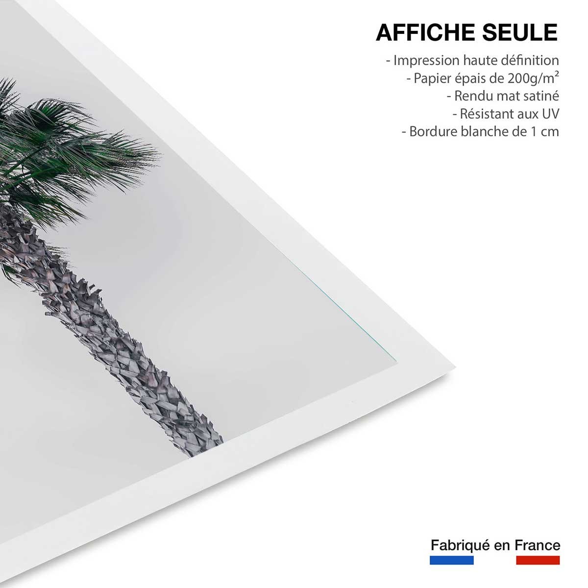 Affiche coconut palm affiche seule, HEXOA