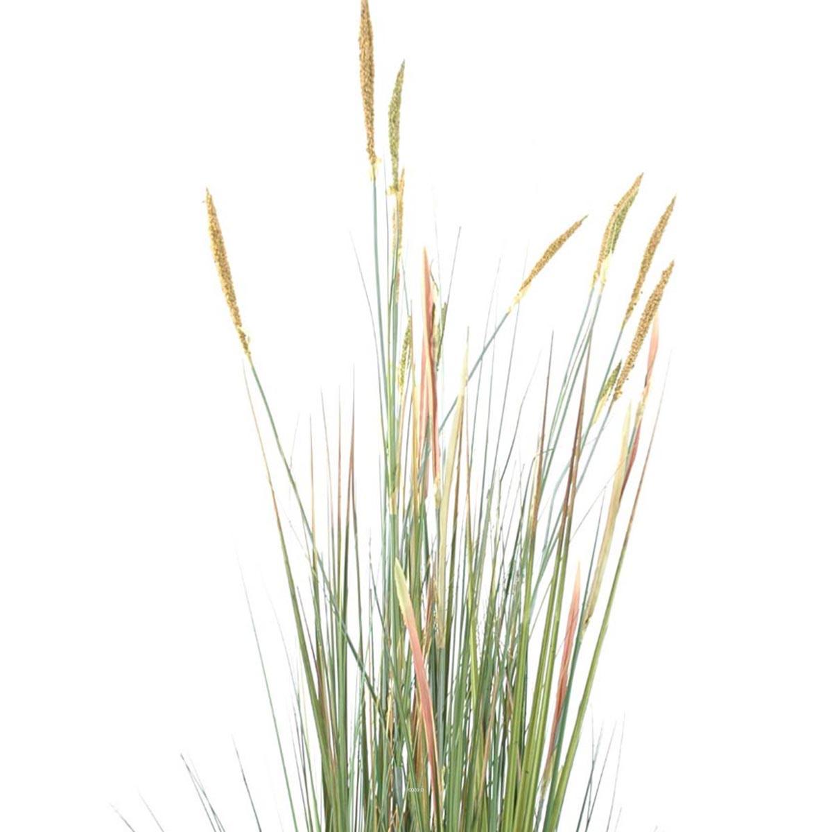 Graminée Zannichellia en pot factice plant vert-jaune, ARTIFICIELLES