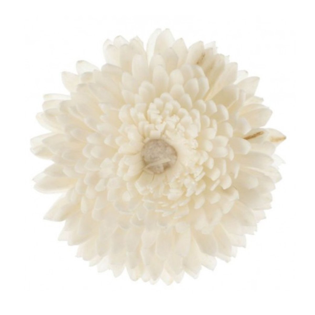 Parfum d'intérieur - Fleur de goatier Christen - CHRISTEN blanc, GOA