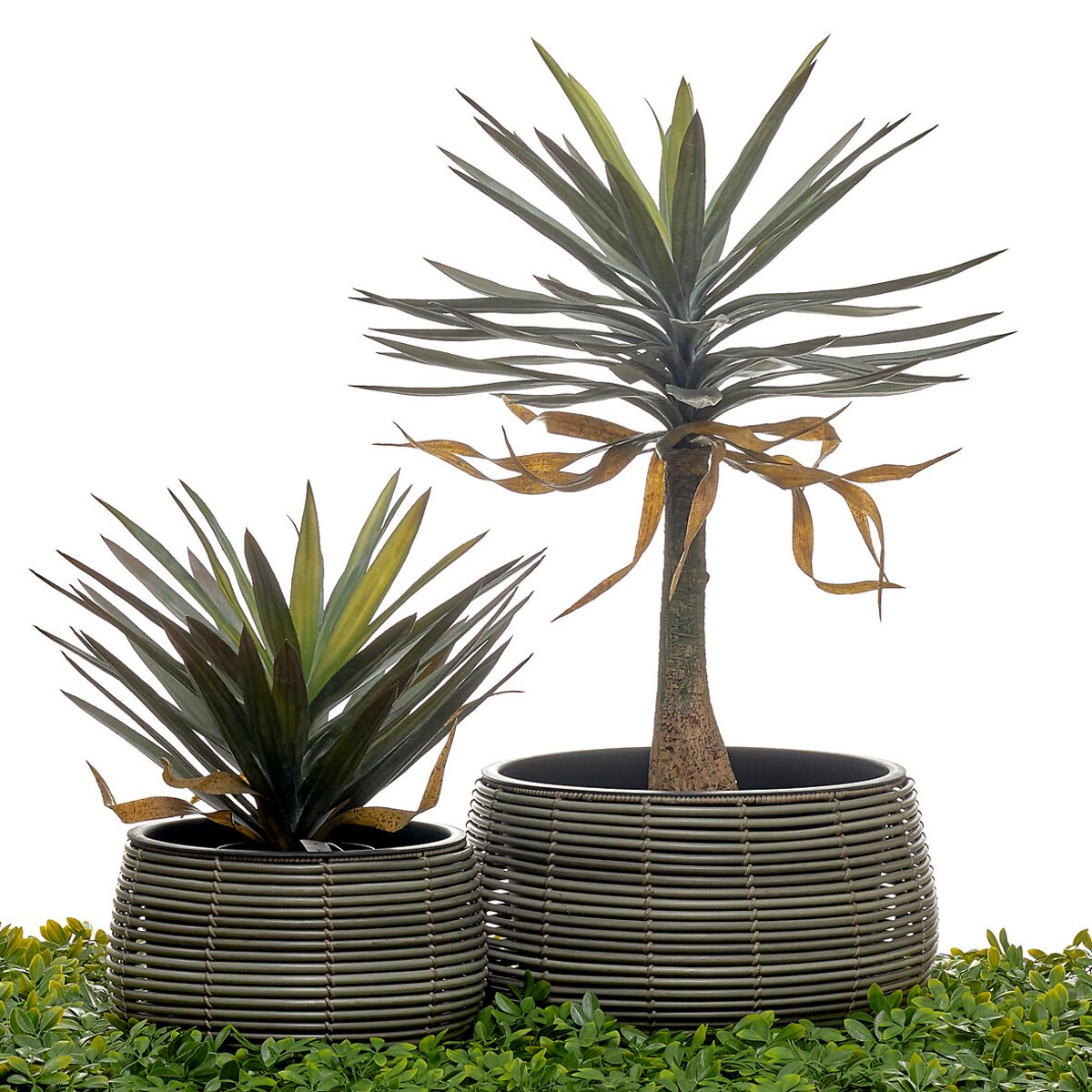 Conjunto de vasos em polyrattan, BORGHESI cinzento, BORGHESI