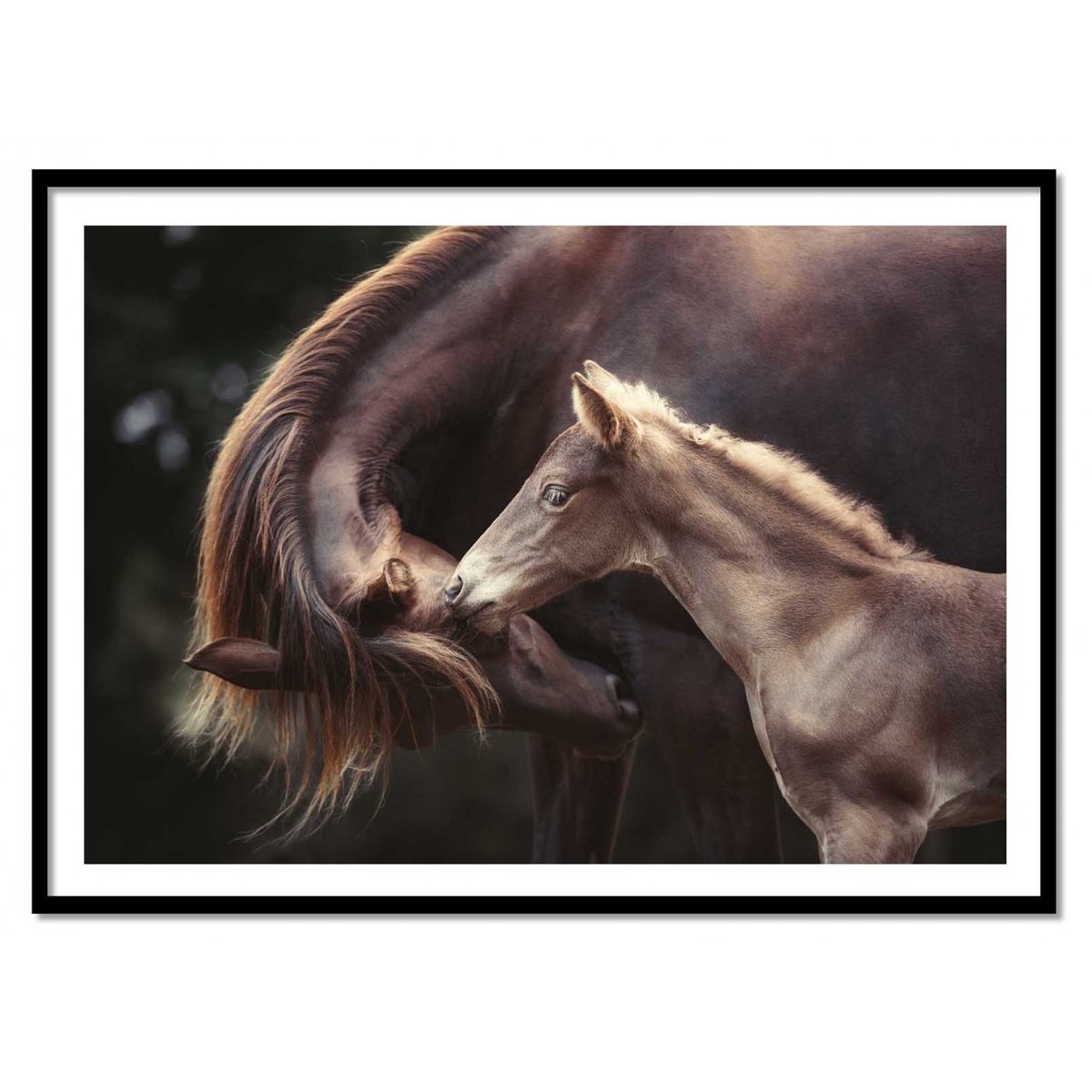 Affiche d’art et cadre noir 50 x 70 cm - The Bond - Heike Willers affiche d'art, WALL EDITIONS