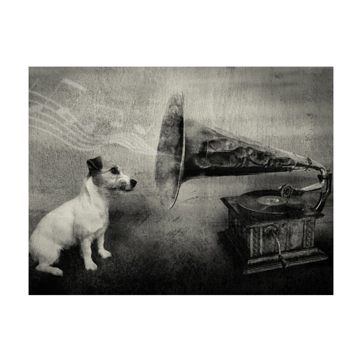 Papier peint intissé panoramique Animaux Dog's melodies noir, EDEN