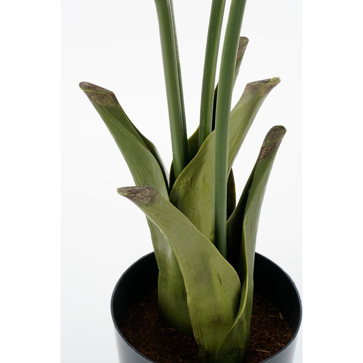 Plante artificielle FISHTAIL PALM vert, MICA DECORATIONS
