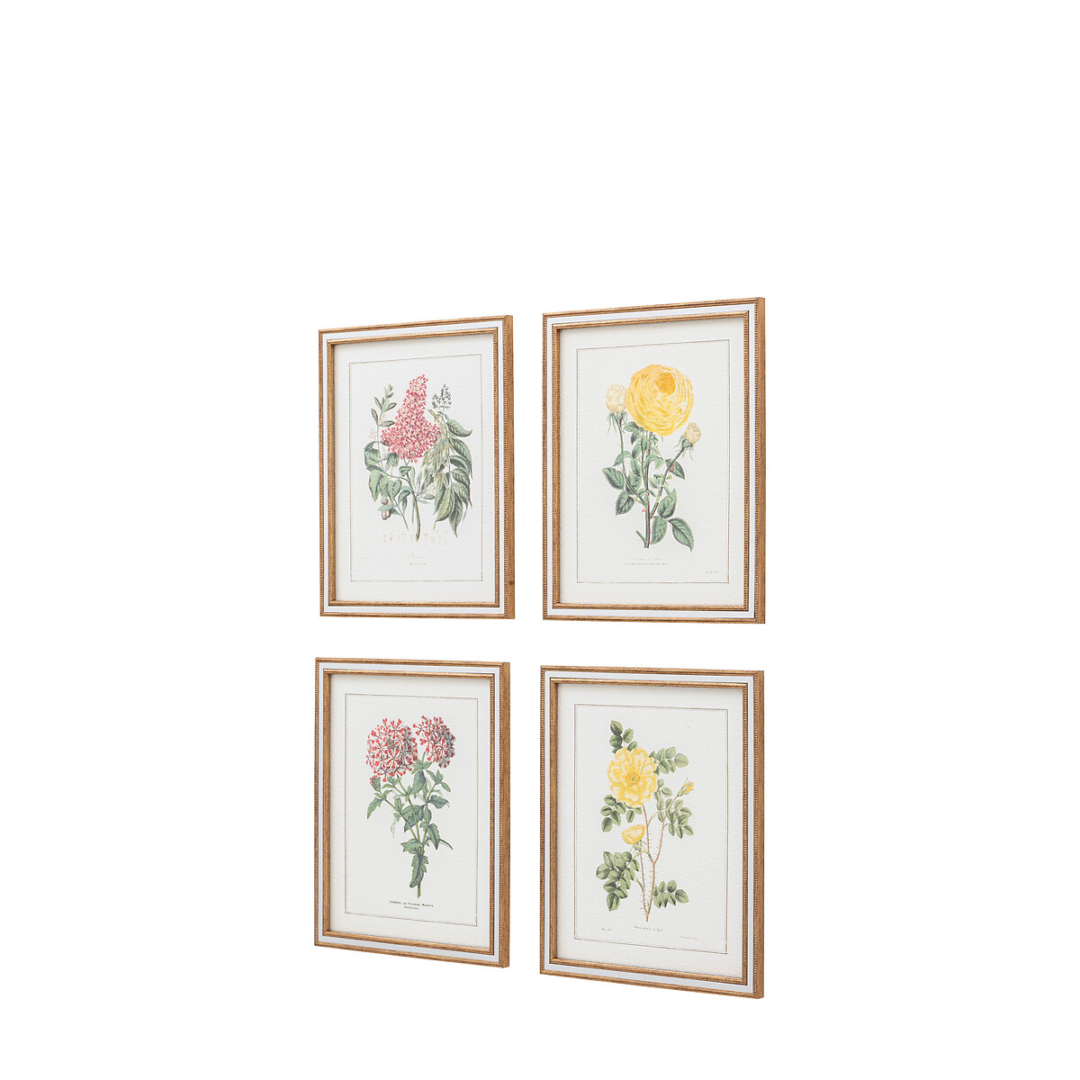 Set of 4 Floral Quartet Framed Art green, ÉDITÉ