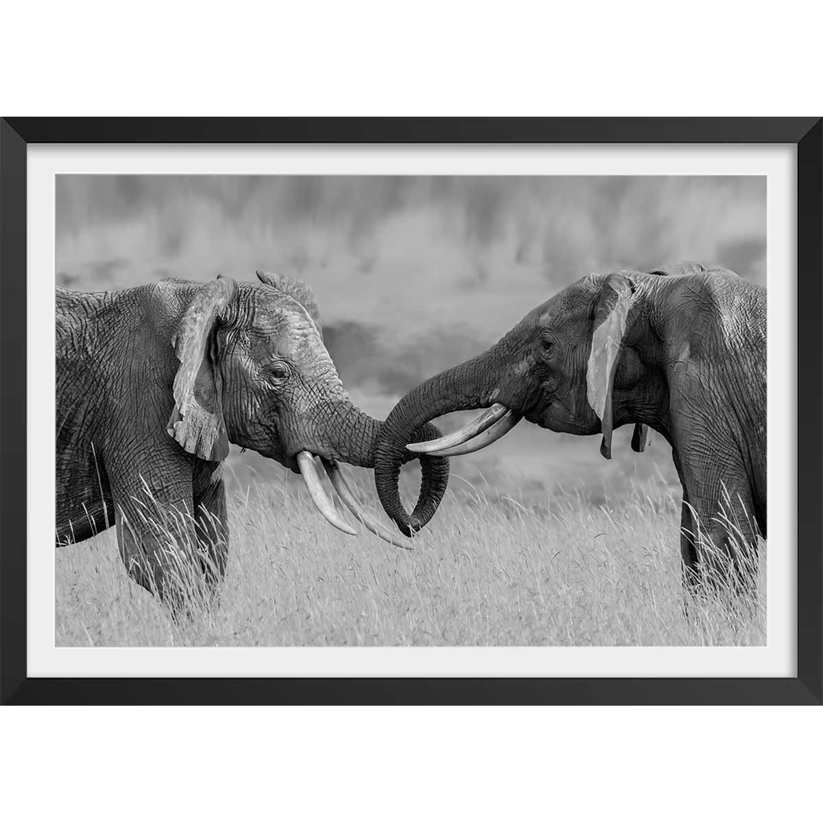 Affiche éléphant ...qui es tu? affiche + cadre en bois - noir, HEXOA