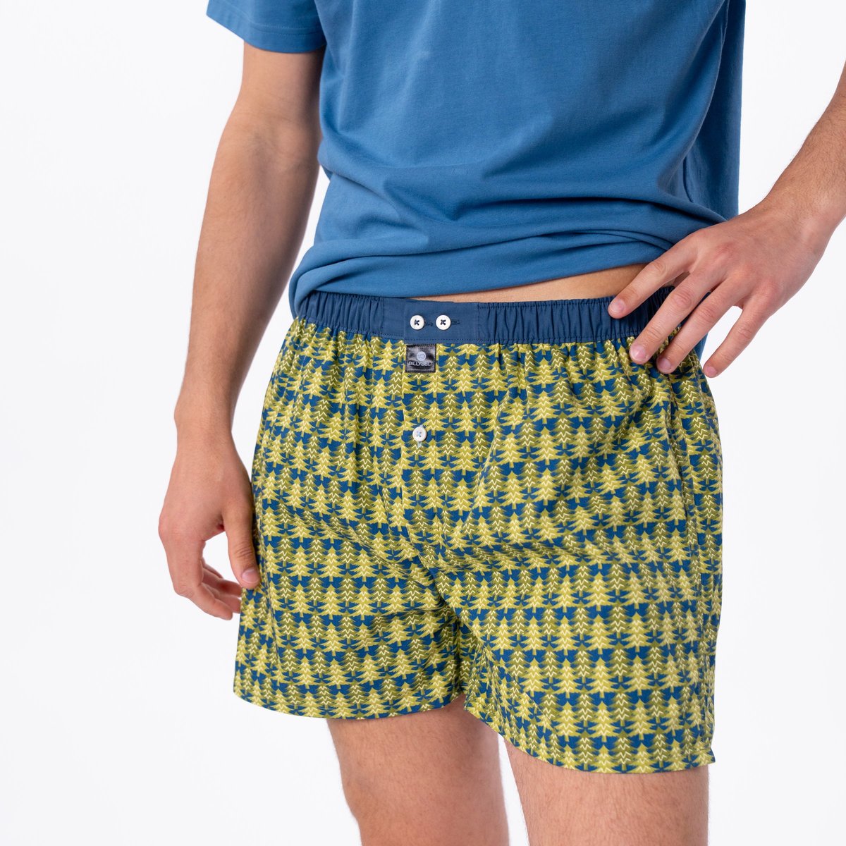 Caleçon en coton biologique FANTAISIE vert clair et bleu, BILLYBELT