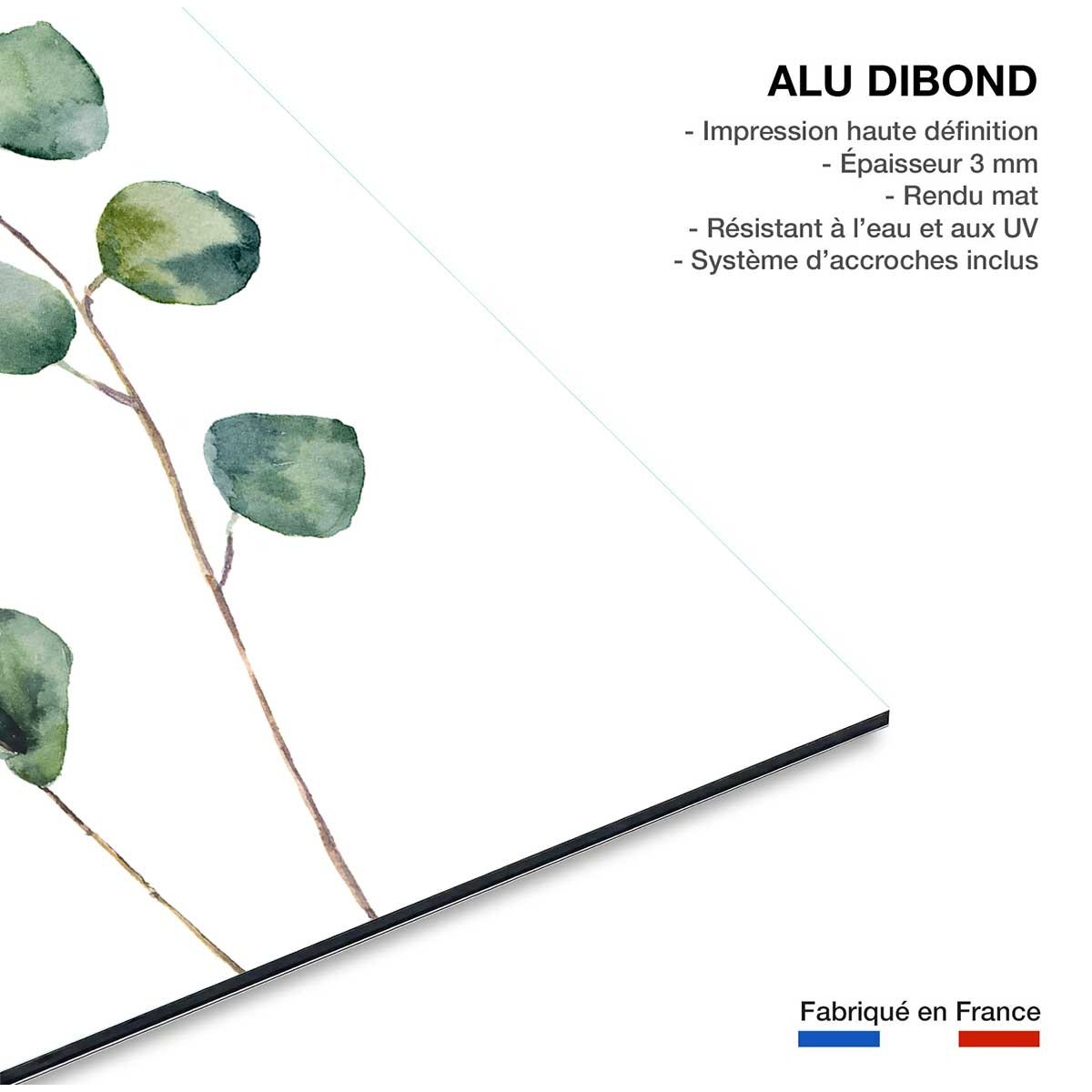 Tableau nature aquarelle feuilled' eucalyptus tableau alu dibond, HEXOA
