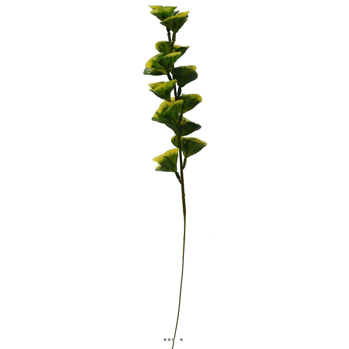 Bupleurum en pic plastique artificiel panache vert, ARTIFICIELLES