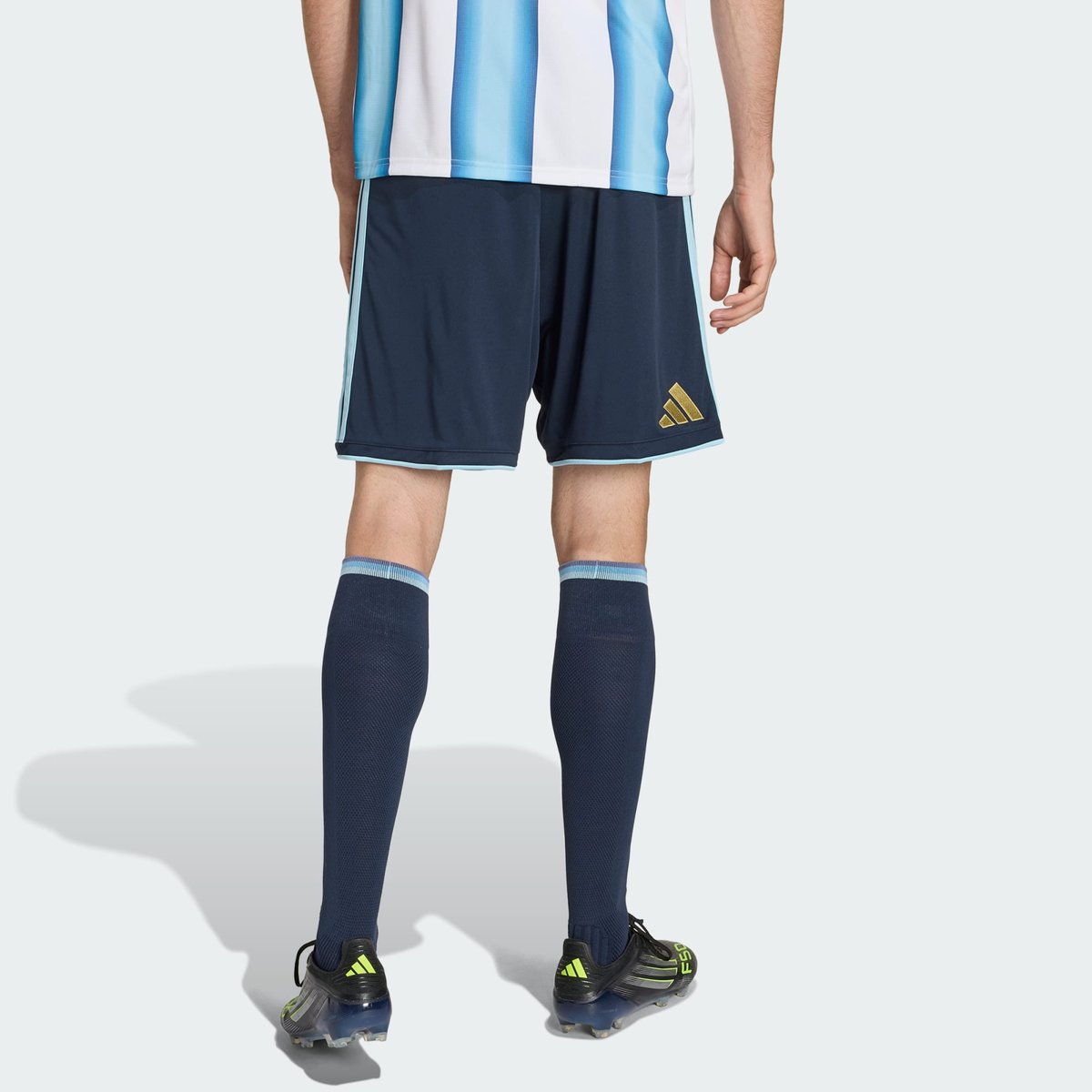 Short Domicile Argentine 26 Short Domicile Argentine 26 night navy / icey blue, adidas Performance