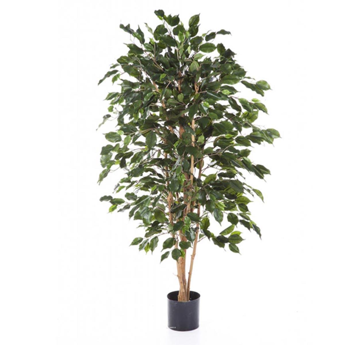 Ficus Exotica artificiel Vert H 210 cm vert, ARTIFICIELLES