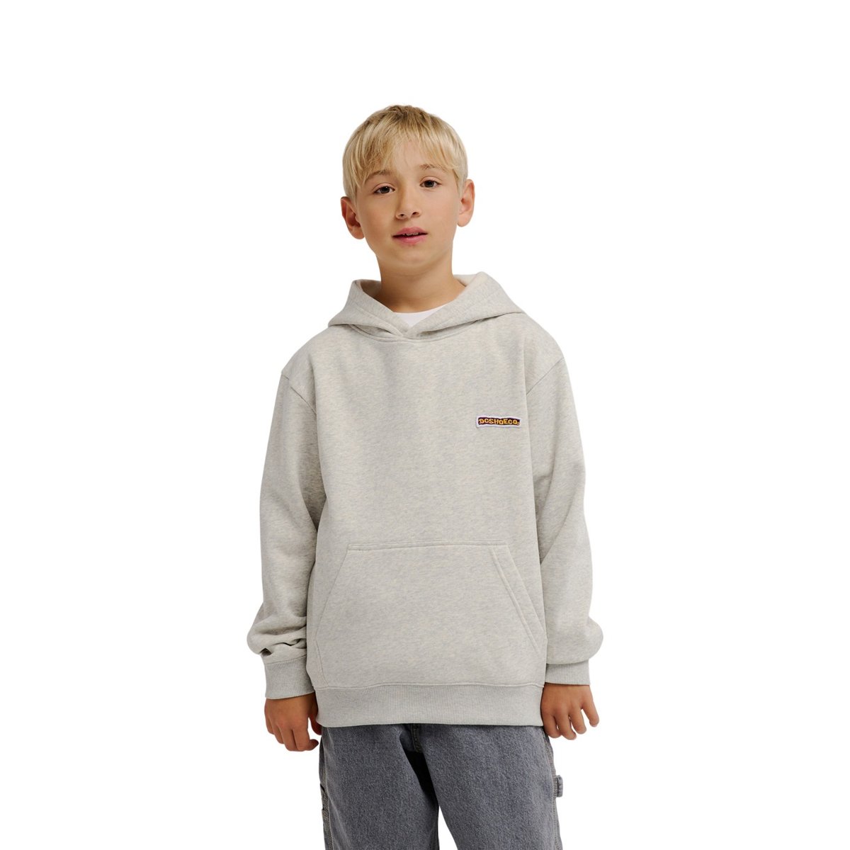 Sweat capuche PATCH IT. gris light heather grey, DC SHOES
