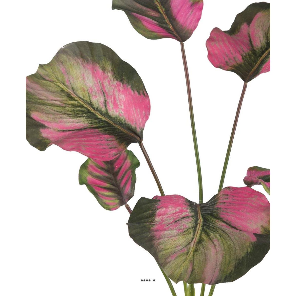 Calathea artificielle en pot, grandes feuill vert-rose, ARTIFICIELLES