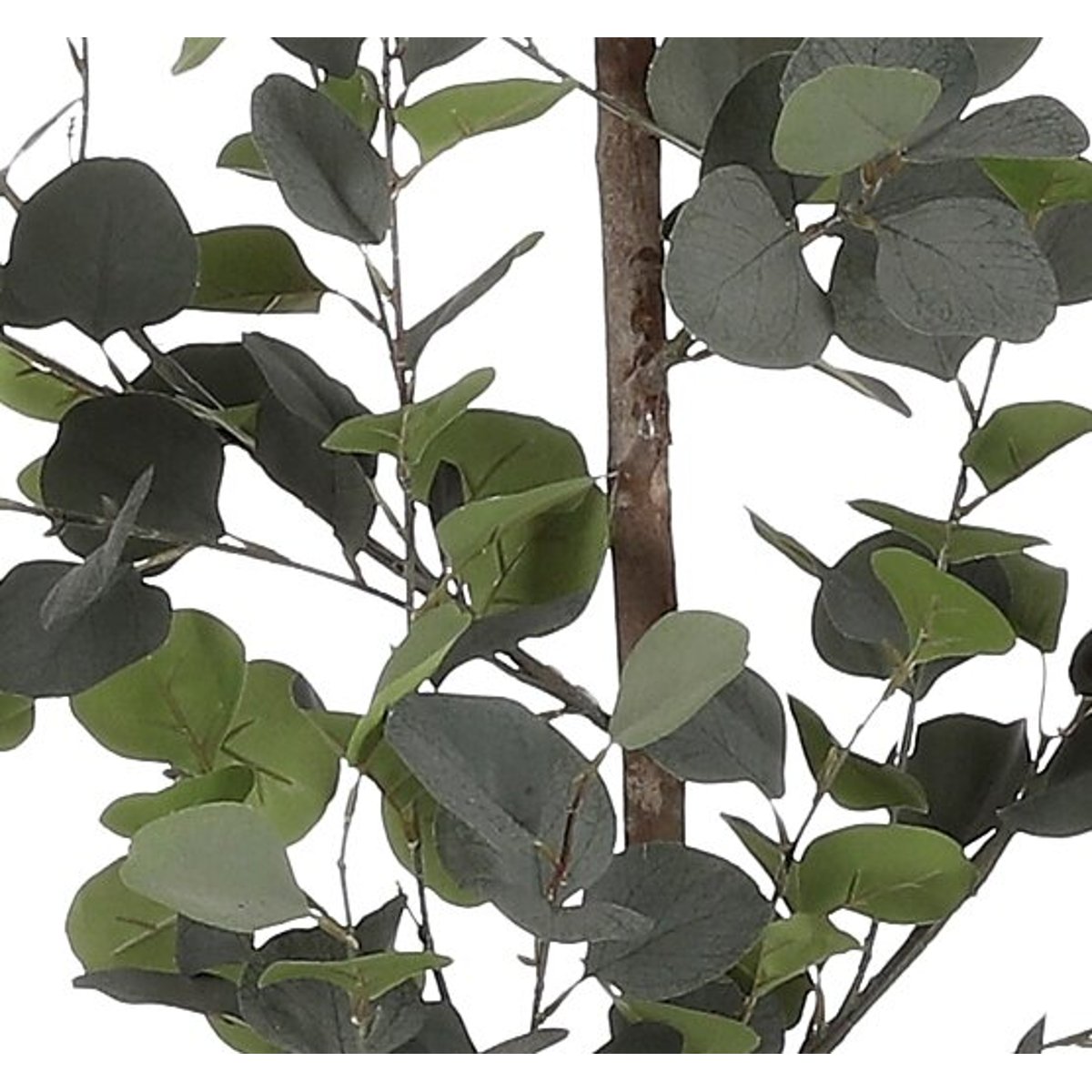 Plante artificielle EUCALYPTUS vert, MICA DECORATIONS