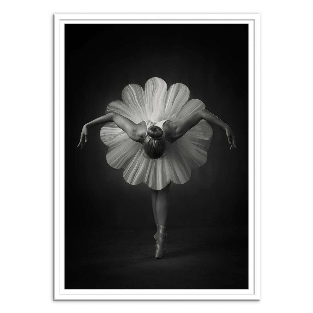 Affiche d’art et cadre noir 50 x 70 cm - Floral Ballet - Catchlight Studio affiche d'art, WALL EDITIONS