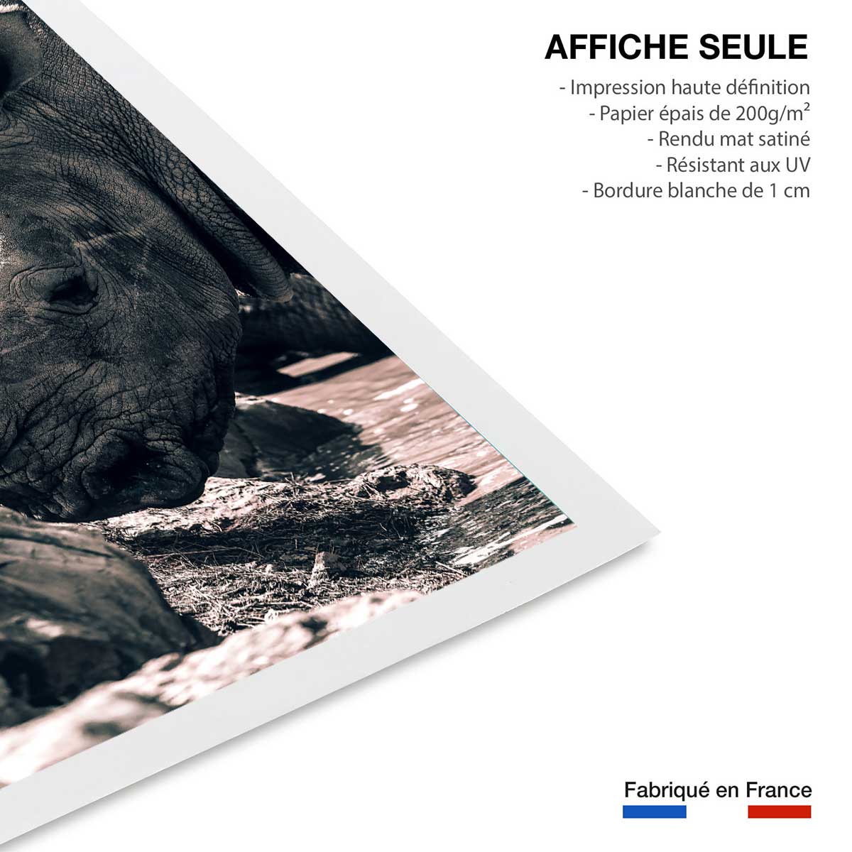 Affiche rhinoceros affiche seule, HEXOA