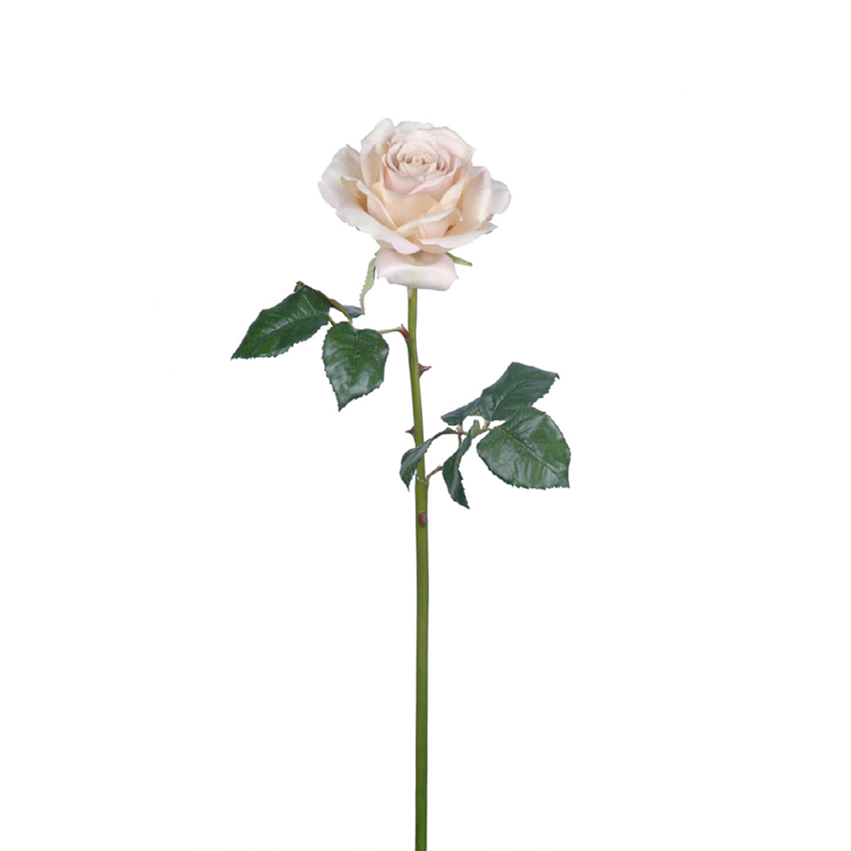Tige de rose artificielle H57 fuchsia, SIA DECO