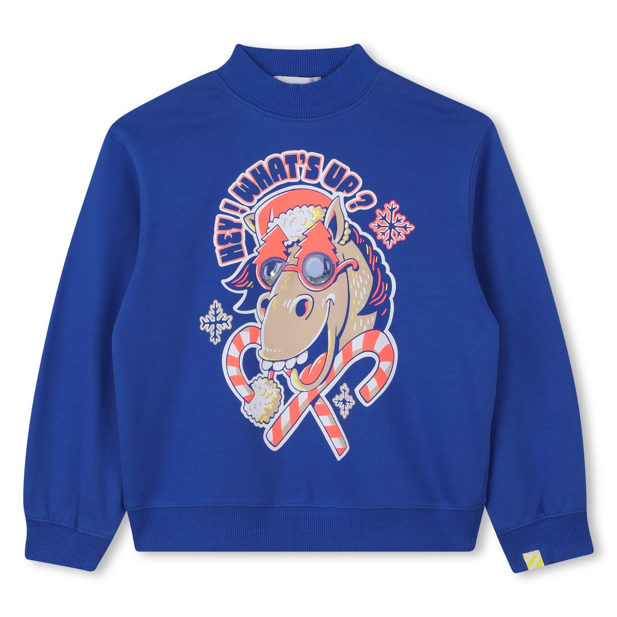 Sweat bleu fanion, BILLIEBLUSH