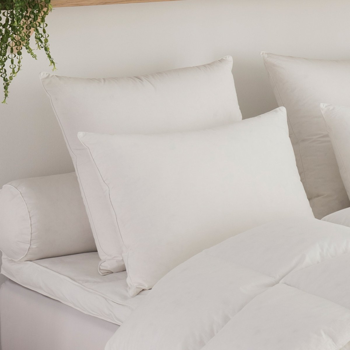 Oreiller Micro Green Toucher Duvet FERME blanc, DODO