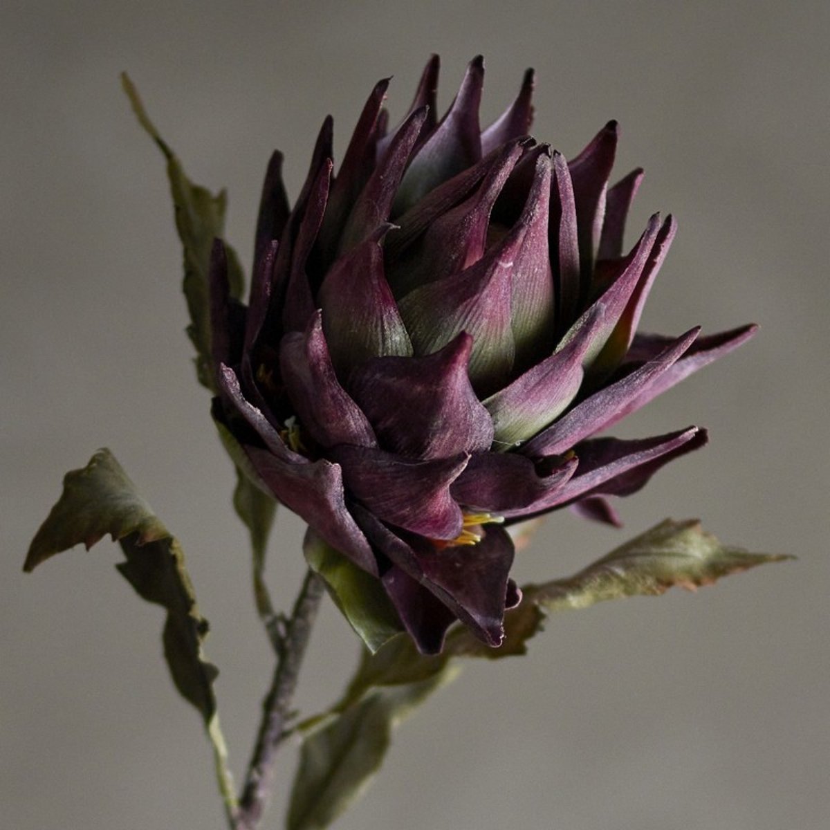 Tige fleur artificielle Protea prune, BLOOMINGVILLE