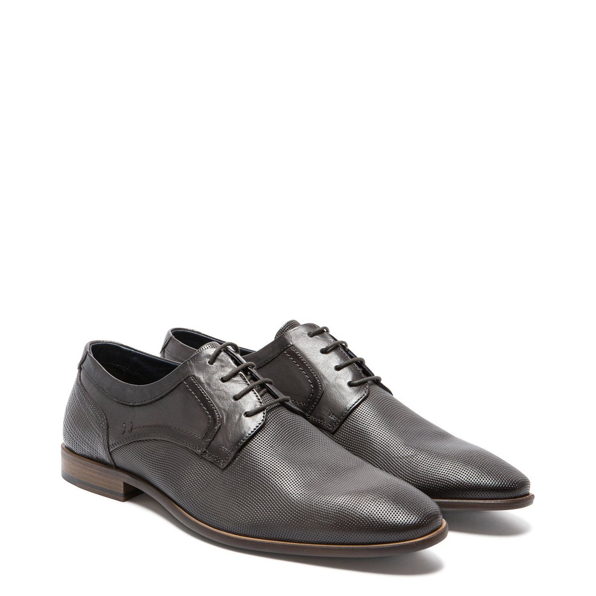 GREGORY GRIS gris, AZZARO