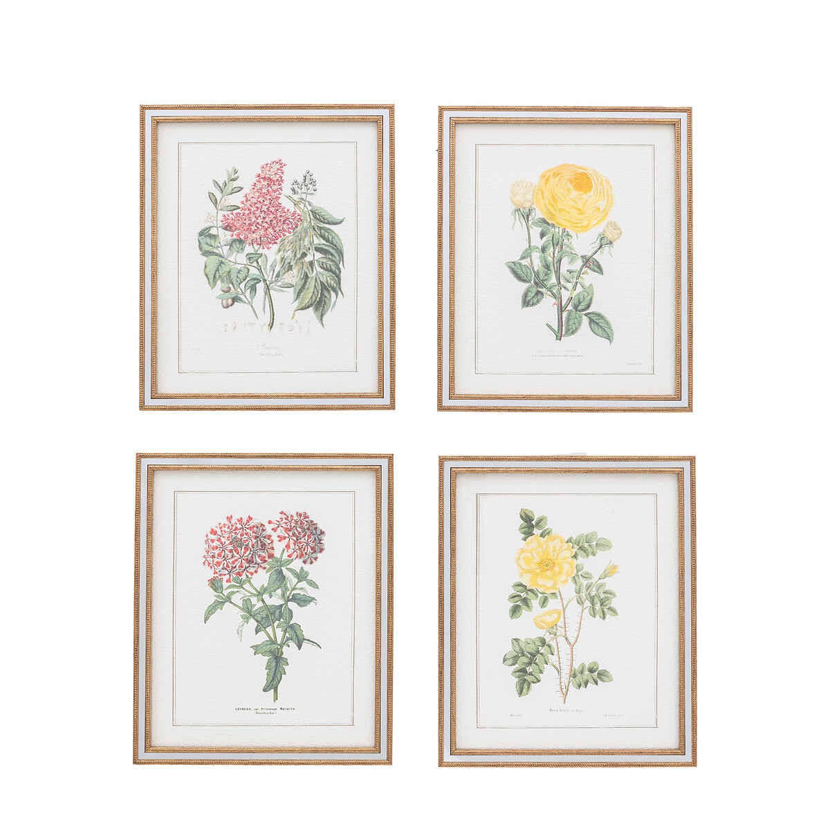Set of 4 Floral Quartet Framed Art green, ÉDITÉ