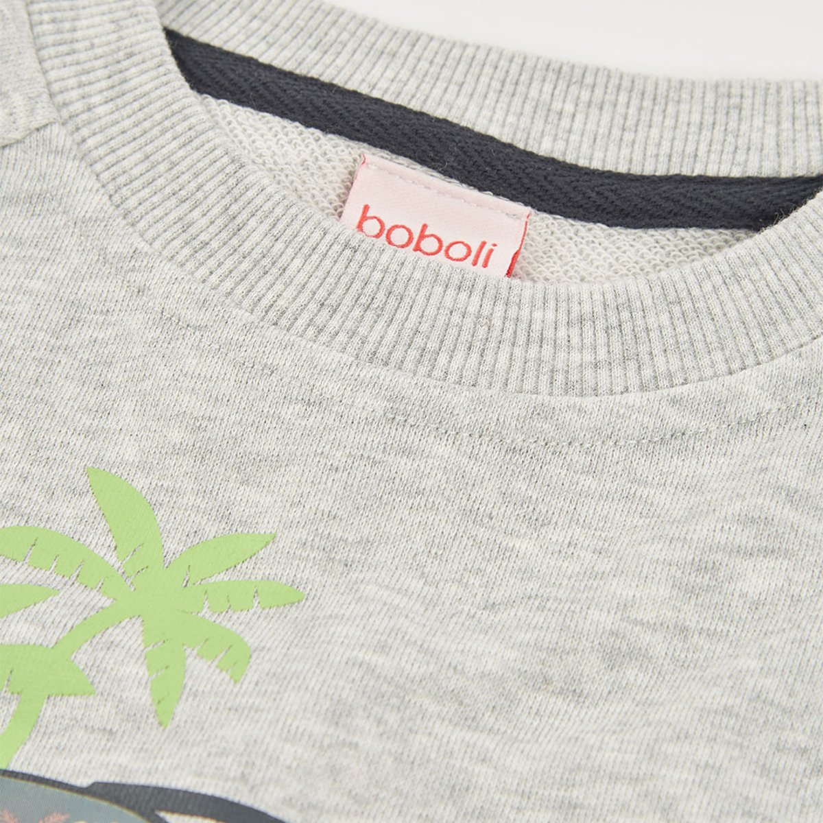 Sweat-shirt en molleton garçon gris, BOBOLI