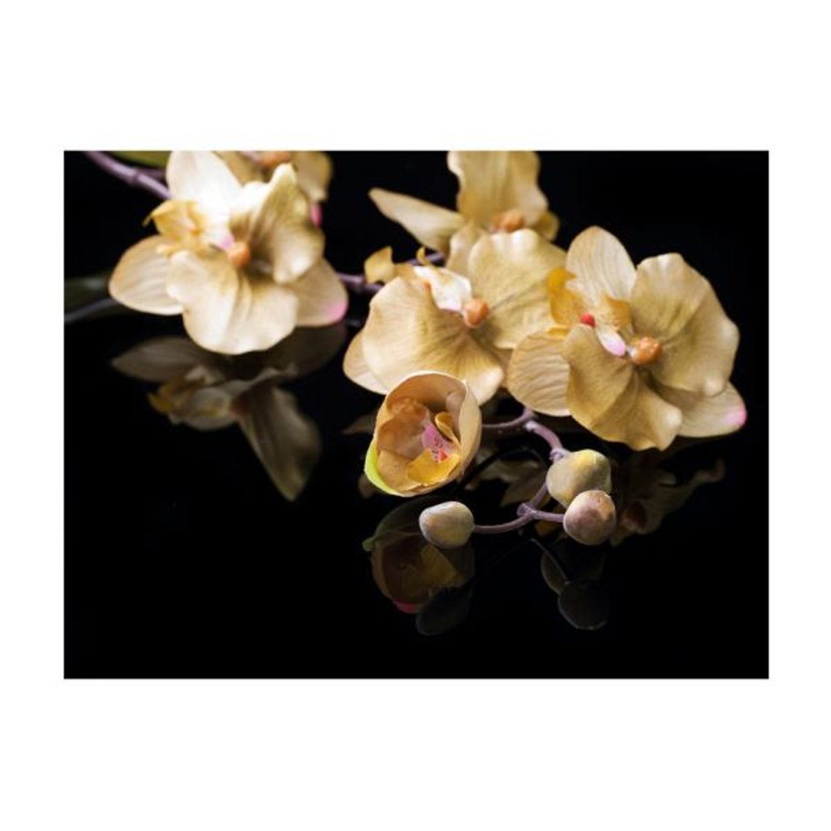 Papier peint intissé panoramique Fleurs Orchids in ecru color beige, EDEN