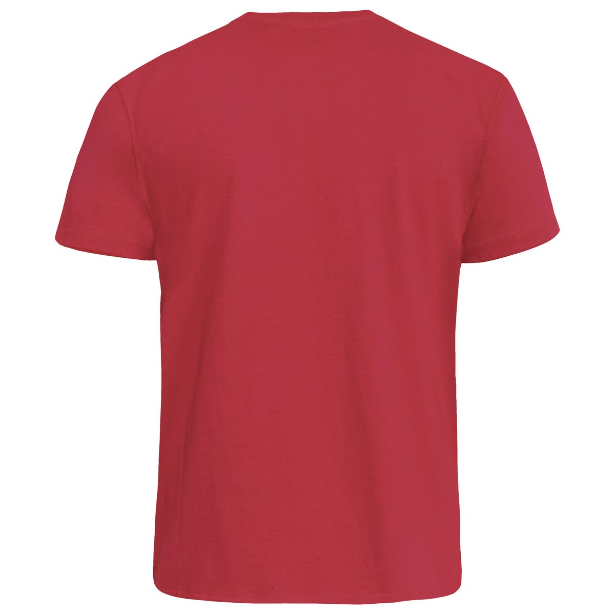 T-shirt manches courtes à col V grande taille SIGNATURE kaki, DUKE