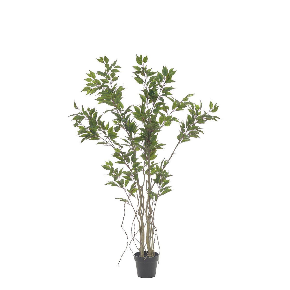 Planta artificial "Ficus" 170cm, BORGHESI verde, BORGHESI